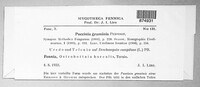 Puccinia graminis image
